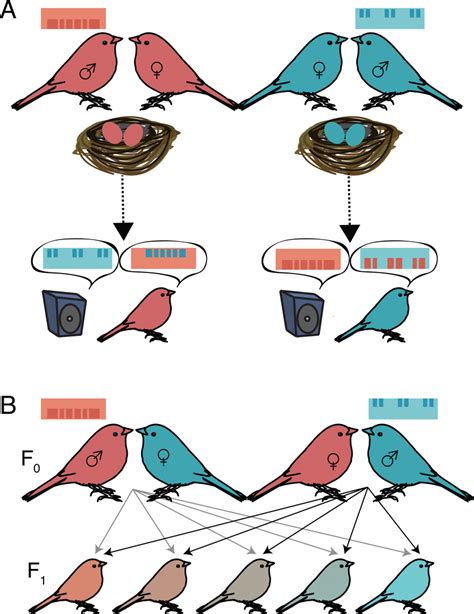 hybrid genetics.